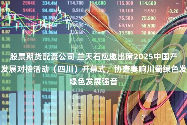 股票期货配资公司 兰天石应邀出席2025中国产业转移发展对接活动（四川）开幕式，协鑫奏响川蜀绿色发展强音